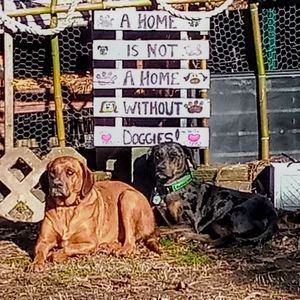 Meet your Posher, Terri